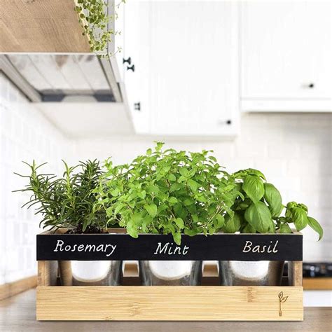 10 Best Herb Garden Planters and Kits of 2022 | Family Handyman