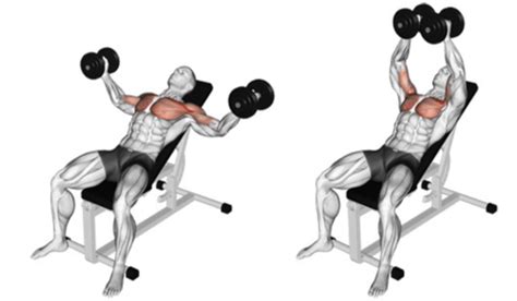 The Incline Dumbbell Fly 101 | How To Exercise Your Upper Chest!