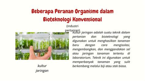 Bioteknologi Konvensional Materi Biologi Ppt