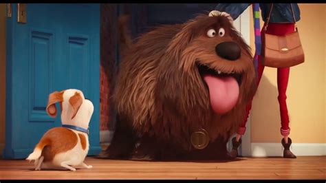 Pets A Vida Secreta Dos Bichos Trailer Oficial Dublado Filmes