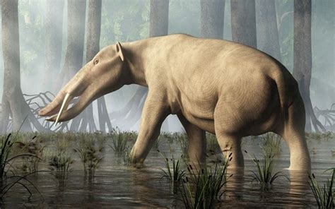 Ambelodon Paleo Art Extinct Animals Selling Art Online