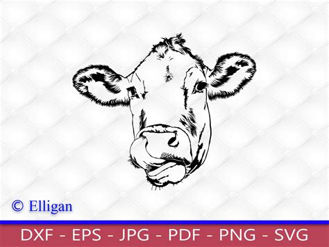 Cow Head Tongue Lick Nose Svg Png Clipart Etsy