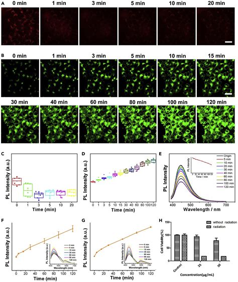 Self Enhanced Carbonized Polymer Dots For Selective Visualization Of