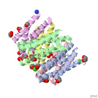 2rld Proteopedia Life In 3D