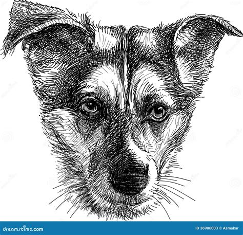 Head Of Sad Dog Stock Vector Illustration Of Cute Look 36906003