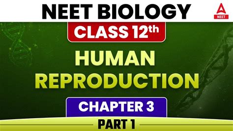 Human Reproduction Part 1 Class 12 Neet Biology Chapter 3 Nishulk