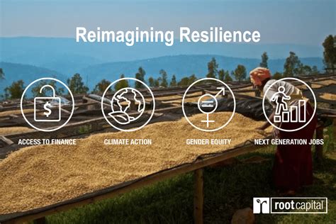 Reimagining Rural Resilience 1200 × 800 Px Root Capital