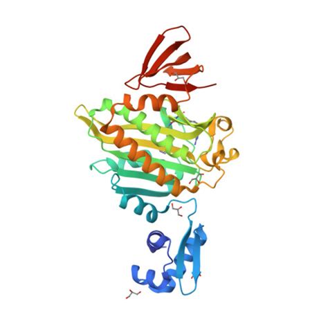 RCSB PDB 6NDL Crystal Structure Of Staphylococcus Aureus Biotin