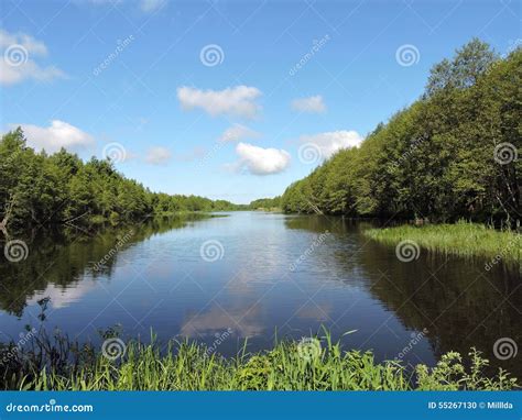 Lithuanian Summer Landscape Stock Photo Image Of Lithuanian Green