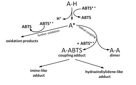 Ijms Free Full Text Abtspp Decolorization Assay Of Antioxidant