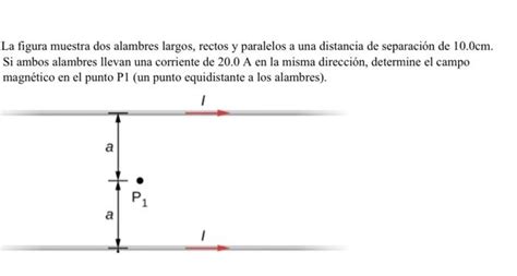 La Figura Muestra Dos Alambres Largos Rectos Y Chegg