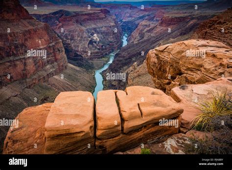 Grand Canyon From Toroweap Point The Grand Canyon Is A Steep Sided