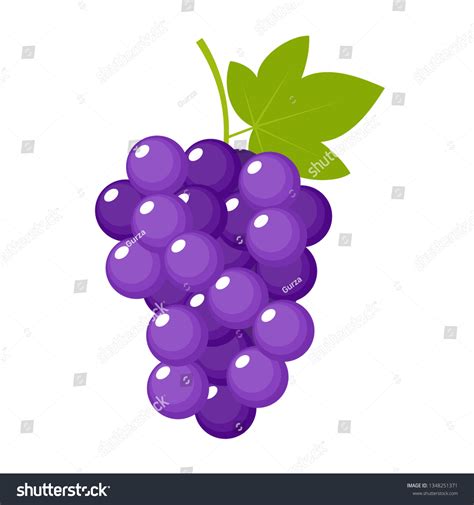 Grapes On White Background Isolated Vector Stock Vector (Royalty Free) 1348251371 | Shutterstock