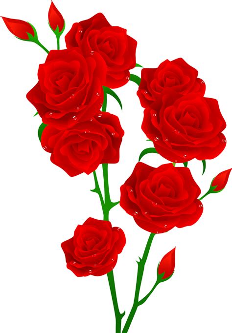 Download Red Roses Vector Illustration