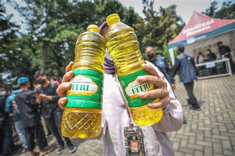 Berbagai Temuan Luhut Atas Kondisi Langka Dan Mahalnya Minyak Goreng