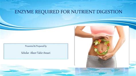 Digestive Enzymes Ppt