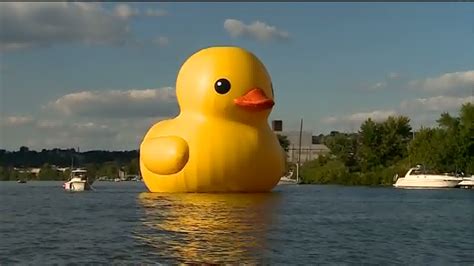 Rubber Ducky Or Duckie At Nell Kidd Blog