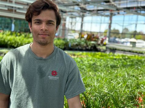 Everything to know before buying your next Sharks tickets 17