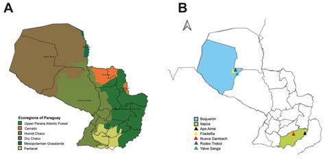 Map Of Paraguay Showing Ecoregions Of Paraguay And Small Mammal