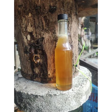 Asli Madu Kelulut Asli Stingless Bee Honey Shopee Malaysia