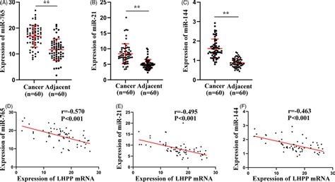 Microrna Microrna And Microrna Expression Levels In Rcc