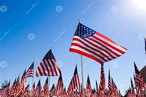 American Flag Display In Honor Of Veterans Day Stock Photo Image Of