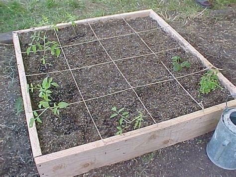 What Is Square Foot Gardening Home Grown Farming