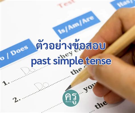 ตัวอย่างข้อสอบ Past Simple Tense จำนวน 5 ข้อพร้อมเฉลย เพื่อการศึกษา