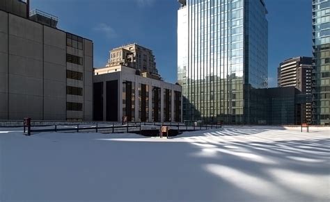 20140103. Untouched snow can still be found in Toronto. | vikpahwa.com