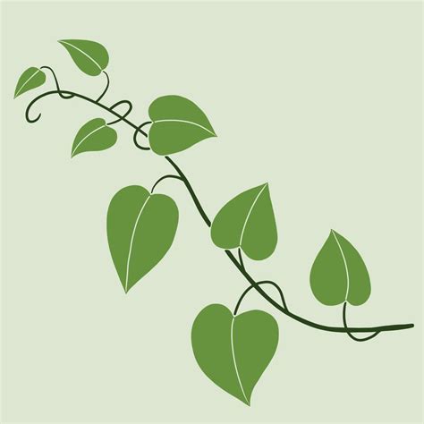 Simplicity Ivy Freehand Drawing Flat Design Vector Art At