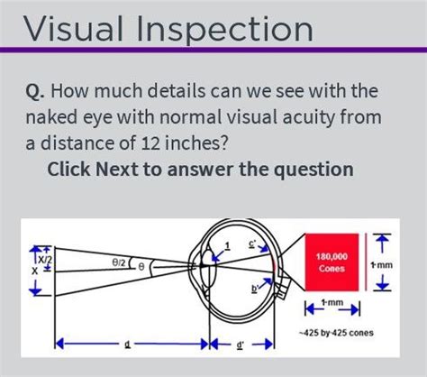 Solved Q How Much Details Can We See With The Naked Eye Chegg