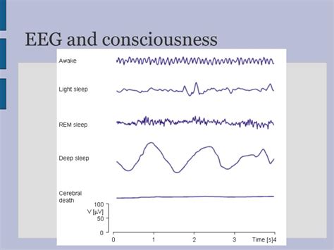 Ppt Introduction To Eeg Emg Ncv Powerpoint Presentation Free