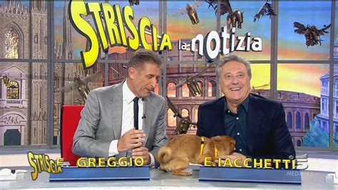 Il Cane Lucino Striscia La Notizia