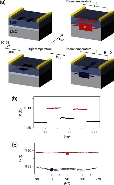 Schematic Illustration Of The Antiferromagnetic FeRh MgO Structure And