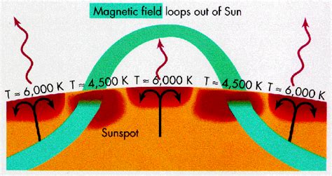 This continues, first near the poles, then closer to theequator, until the magnetic field lines ...