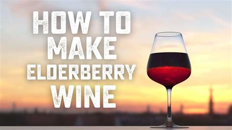 Easy Elderberry Wine Recipe for Beginners