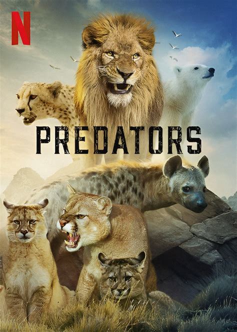 Predators Web Series Streaming Online Watch on Netflix