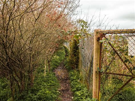 A Guide To The Beverley Brook Walk London She Walks In England