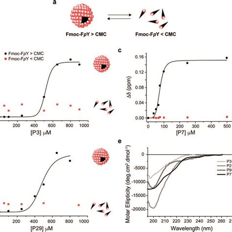 Supramolecular Recognition Of The Top Binding Peptide P3 P7 And P29