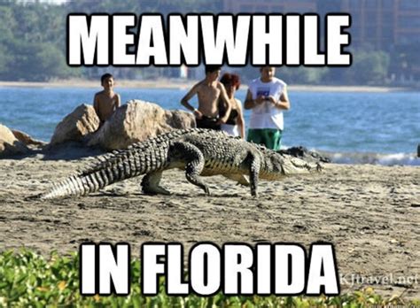 National Florida Day Memes 2023 Technewssources