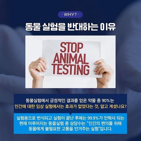 세계 실험동물의 날 매해 고통받는 동물들이 늘어나고 있다는 사실을 아시나요 By 연푸른 얼룩소 Alookso