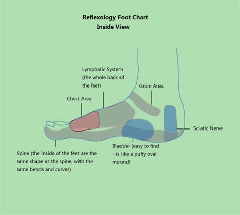 Foot Acupressure Points - Complete Guide for Acupressure Foot Chart ...