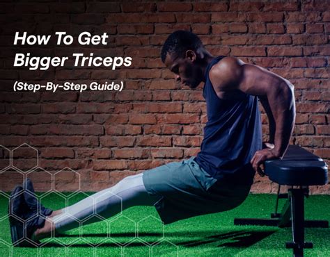 How To Get Bigger Triceps Step By Step Guide Fitbod