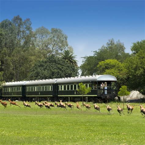 Pack A Tux For The Most Luxurious Train Safari Ever Luxury Train