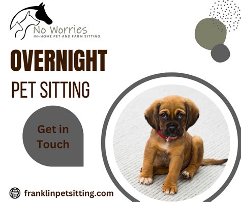 Overnight Pet Sitting - No Worries Pet & Farm Sitting - Medium