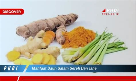 Temukan Manfaat Daun Salam Sereh Dan Jahe Yang Wajib Kamu Ketahui