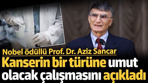 Nobel ödüllü Prof Dr Aziz Sancar kanserin bir türüne umut olacak