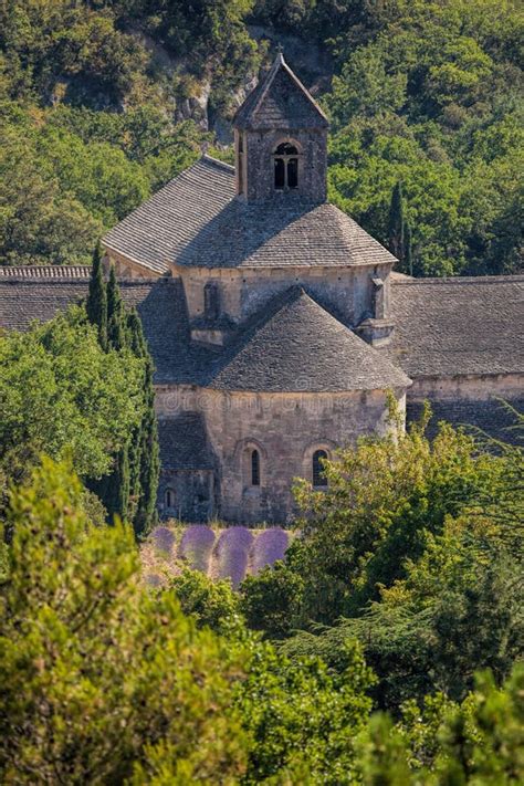 Lavender Fields with Senanque Monastery in Provence, Gordes, France ...