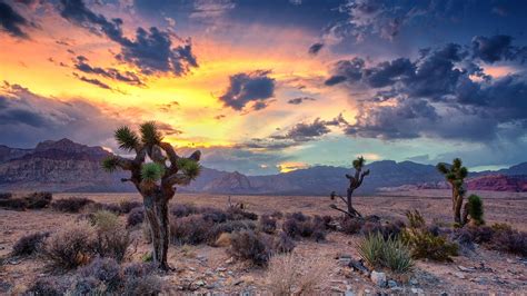 Clouds Landscape Canyon Trees Rocks Desert Nature USA Nevada