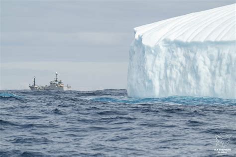 CCAMLR trifft wichtige Entscheidung für Antarktis Sea Shepherd